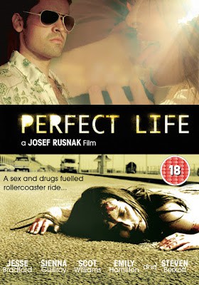 ดูหนังออนไลน์ฟรี A Perfect Life (2010) พิศวาสสีเลือด