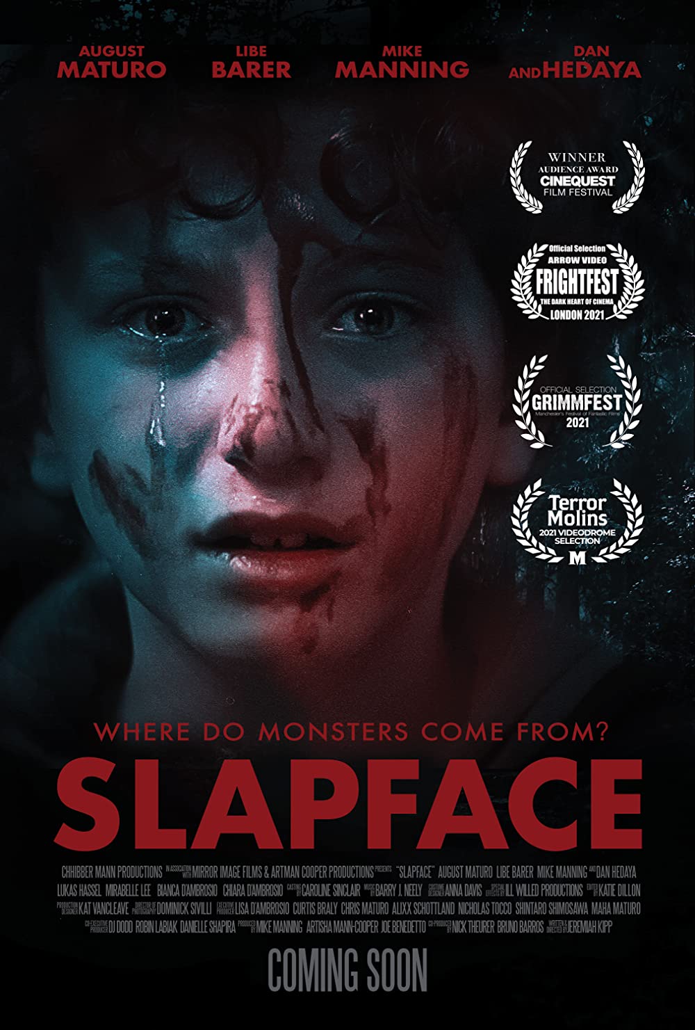 ดูหนังออนไลน์ฟรี Slapface (2021)  ตบหน้า